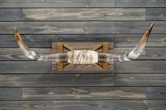 4' 0" Longhorn Wall Mount #292