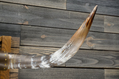 4' 0" Longhorn Wall Mount #292