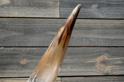 4' 0" Longhorn Wall Mount #292