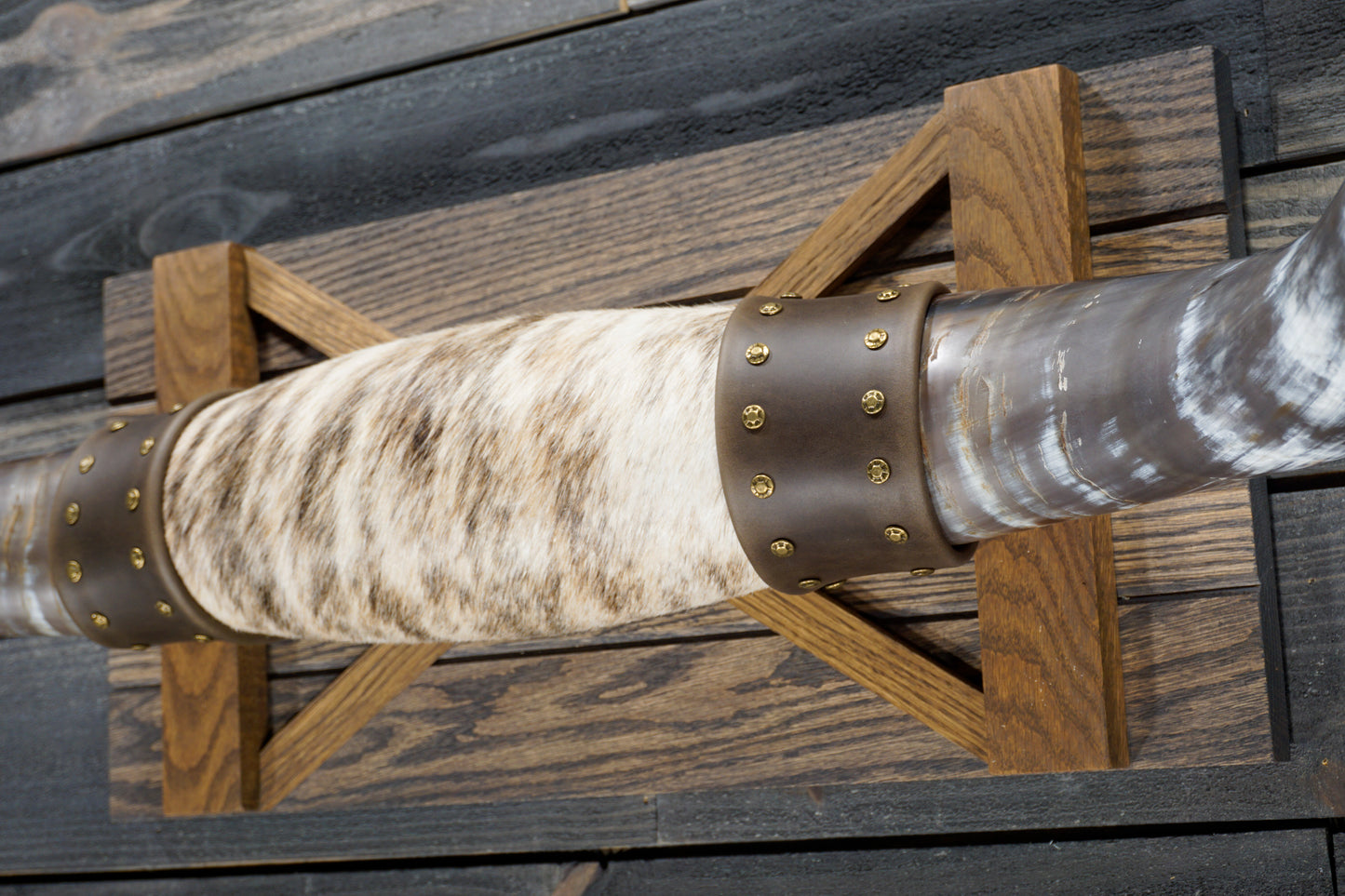 4' 0" Longhorn Wall Mount #292