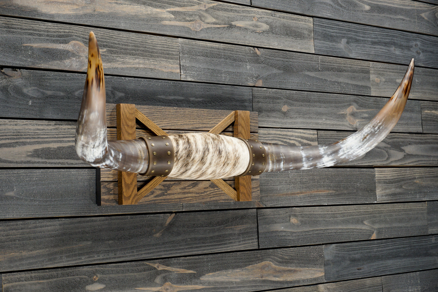 4' 0" Longhorn Wall Mount #292