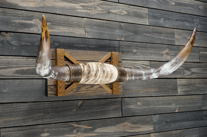 4' 0" Longhorn Wall Mount #292