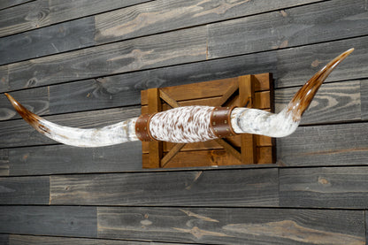 5' 4" Longhorn Wall Mount #302
