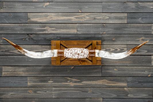 5' 4" Longhorn Wall Mount #302