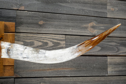 5' 4" Longhorn Wall Mount #302