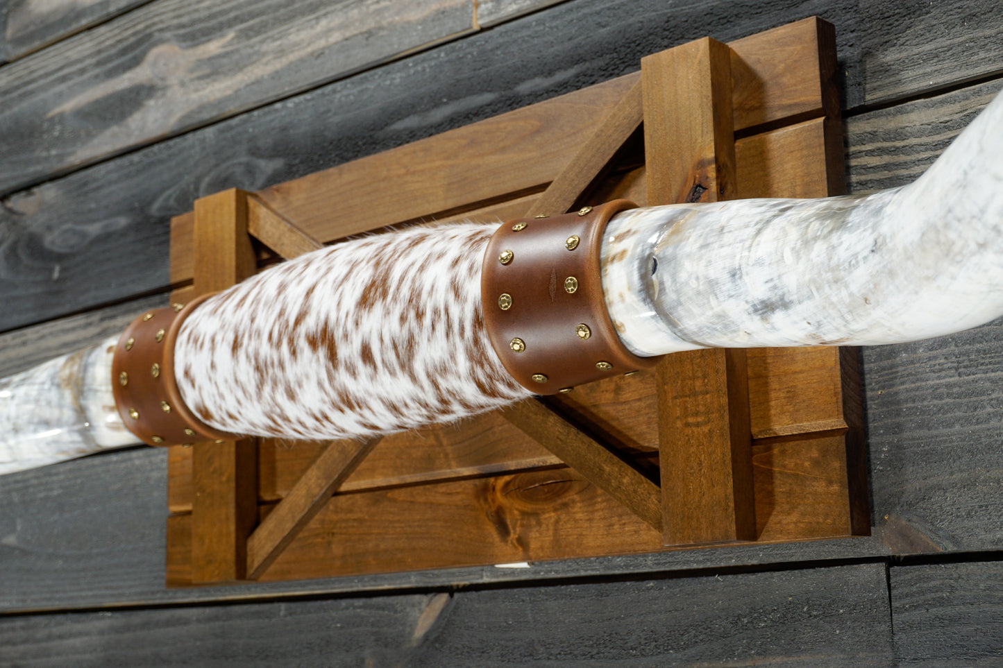 5' 4" Longhorn Wall Mount #302