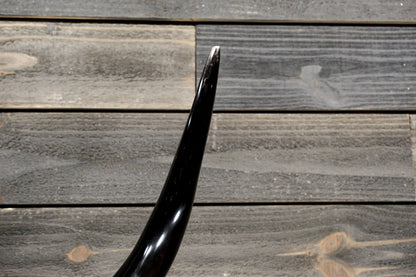 4' 0" Longhorn Wall Mount #318
