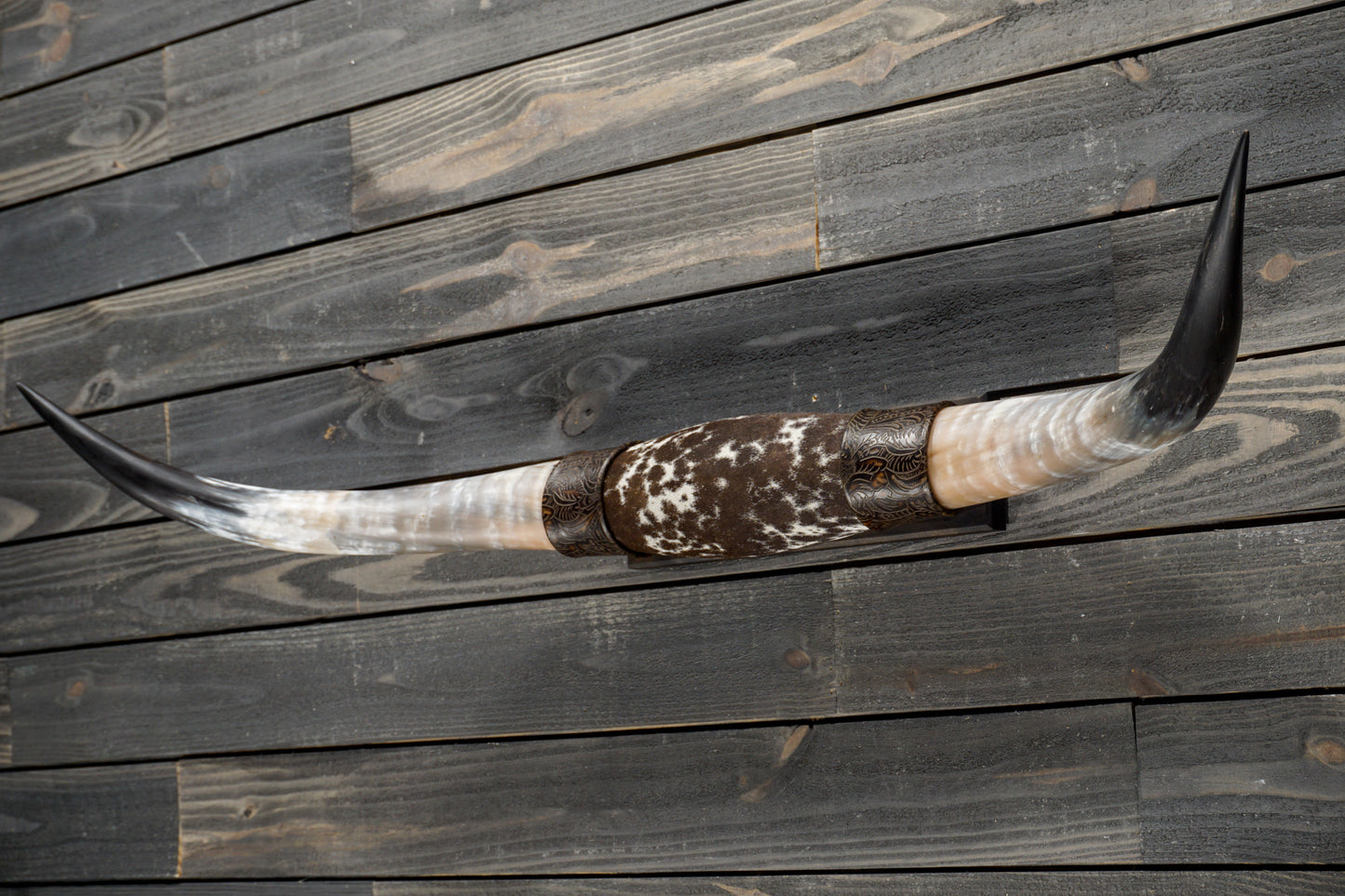 4' 4" Longhorn Wall Mount #330