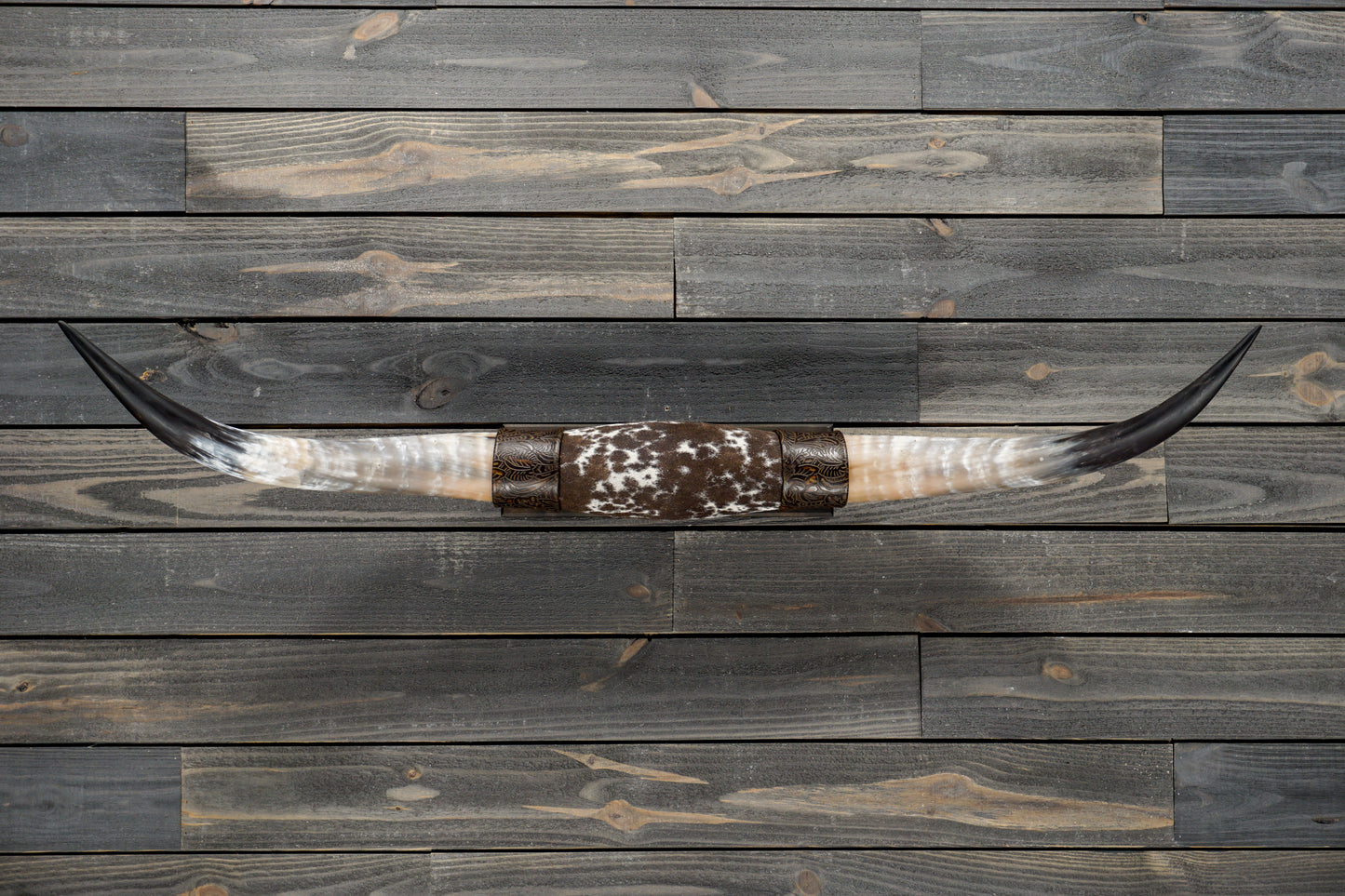 4' 4" Longhorn Wall Mount #330