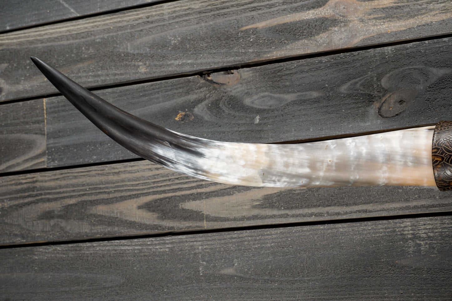 4' 4" Longhorn Wall Mount #330