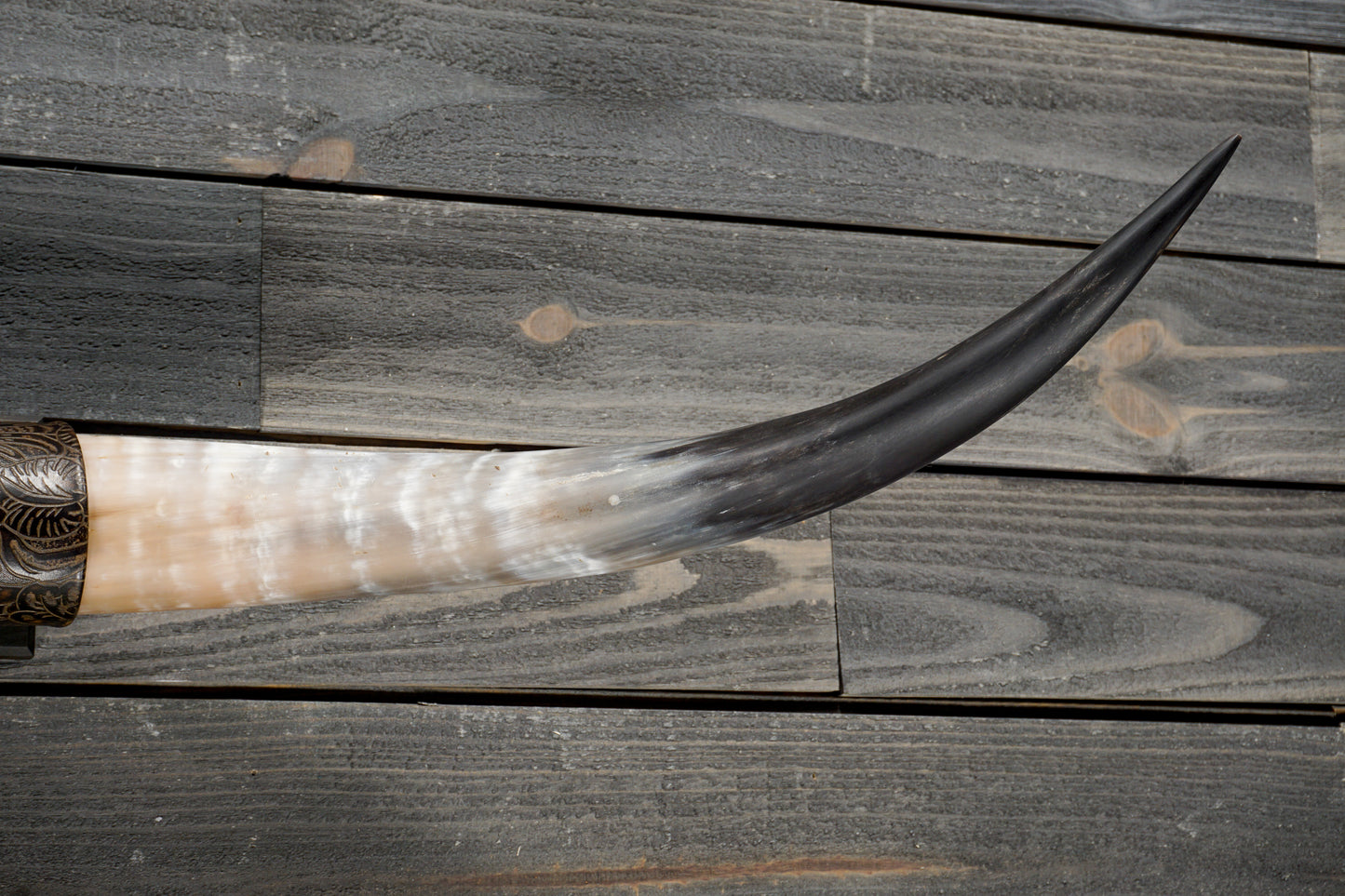4' 4" Longhorn Wall Mount #330