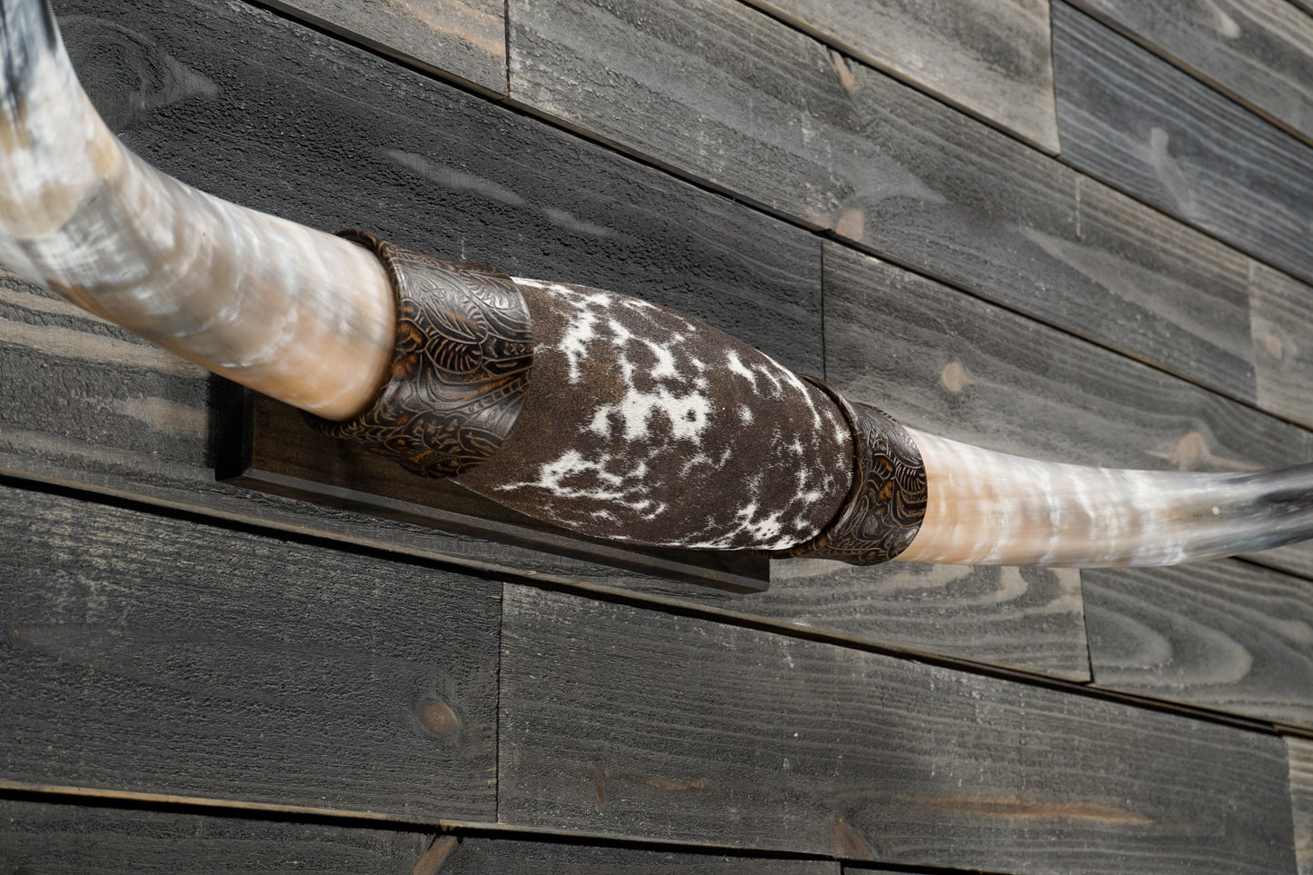 4' 4" Longhorn Wall Mount #330