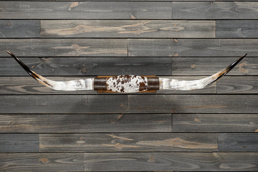 5' 0" Longhorn Wall Mount #341