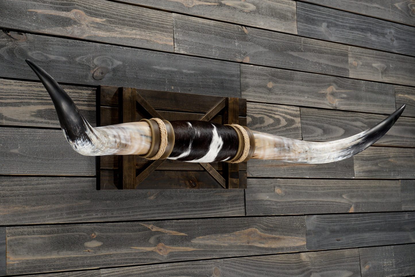 4' 10" Longhorn Wall Mount #350