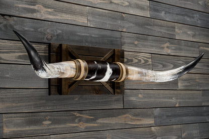 4' 10" Longhorn Wall Mount #350