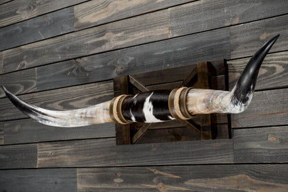 4' 10" Longhorn Wall Mount #350