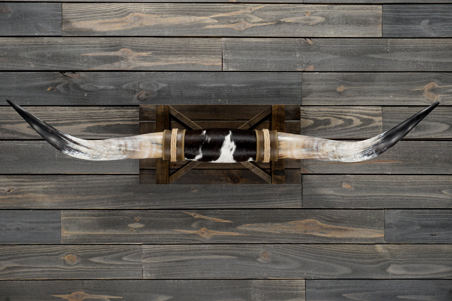4' 10" Longhorn Wall Mount #350