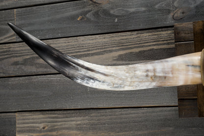 4' 10" Longhorn Wall Mount #350