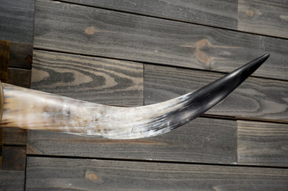4' 10" Longhorn Wall Mount #350