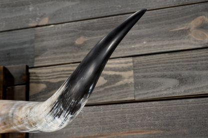 4' 10" Longhorn Wall Mount #350