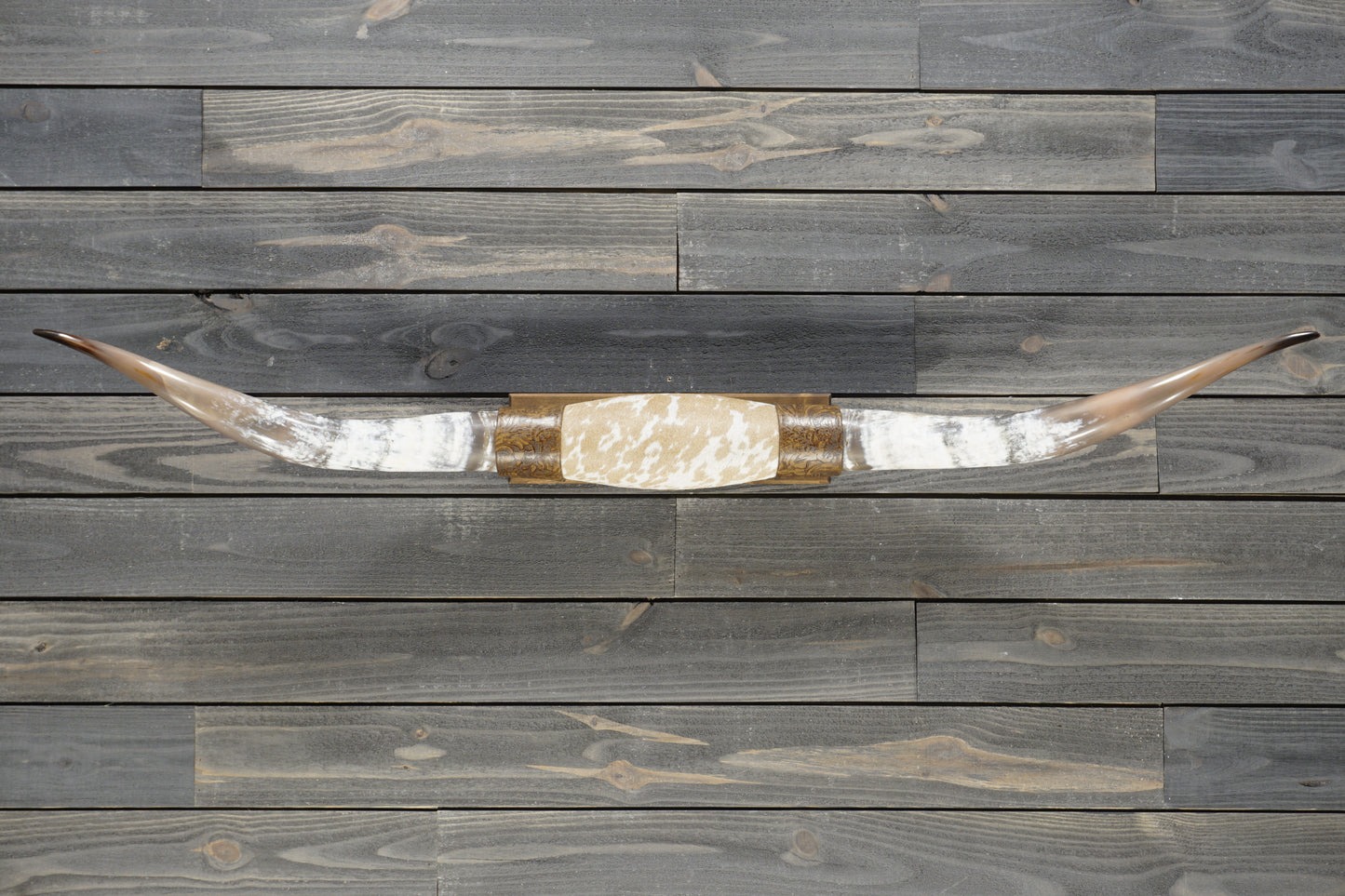 5' 1" Longhorn Wall Mount #381