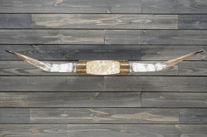 5' 1" Longhorn Wall Mount #381