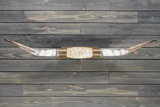 5' 1" Longhorn Wall Mount #381