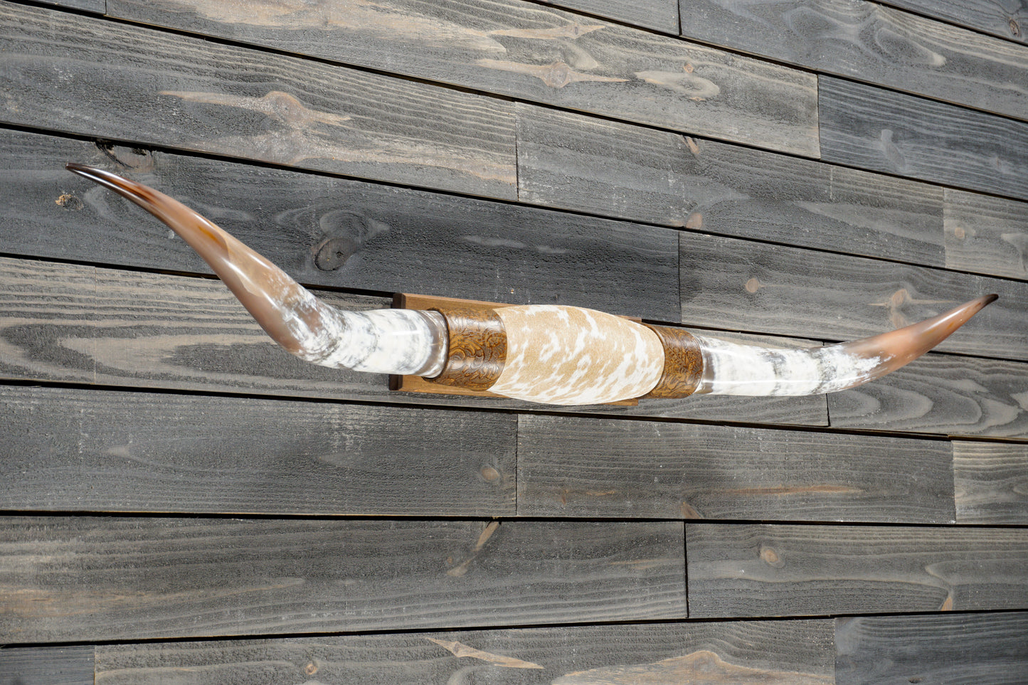 5' 1" Longhorn Wall Mount #381