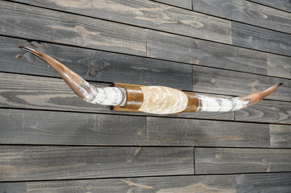 5' 1" Longhorn Wall Mount #381