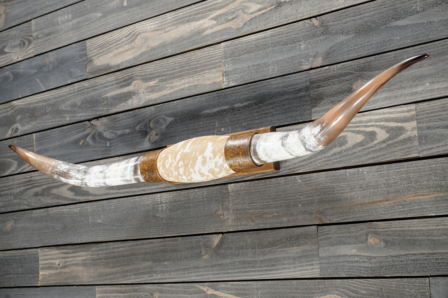 5' 1" Longhorn Wall Mount #381