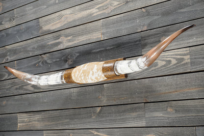 5' 1" Longhorn Wall Mount #381
