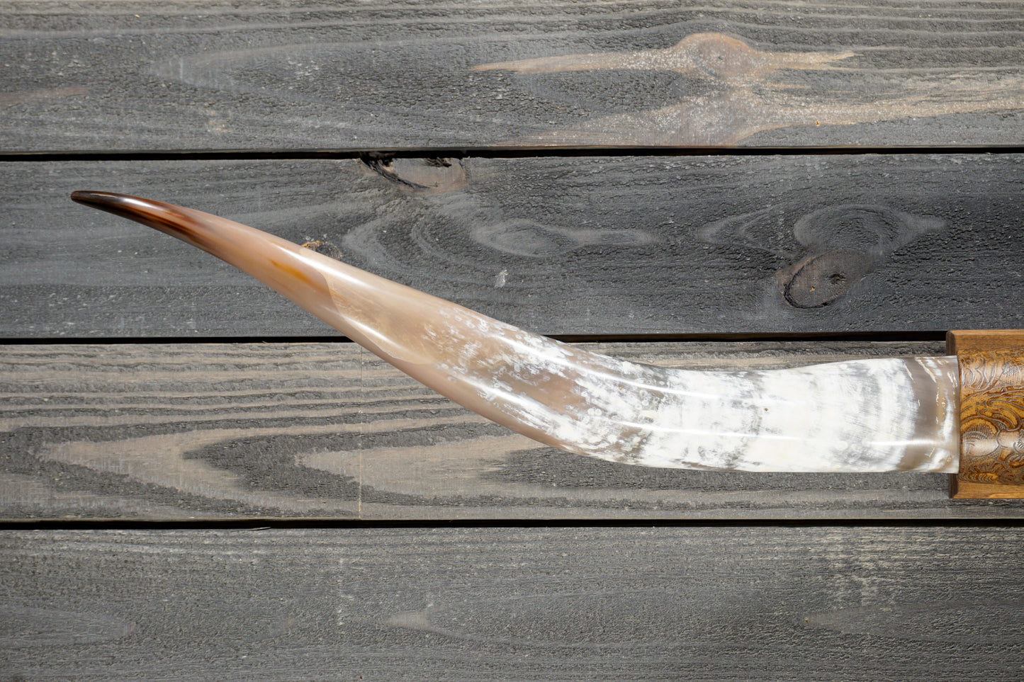 5' 1" Longhorn Wall Mount #381