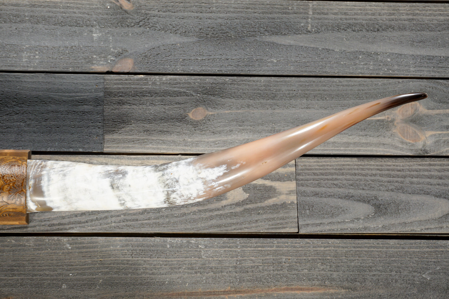 5' 1" Longhorn Wall Mount #381