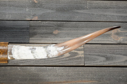 5' 1" Longhorn Wall Mount #381