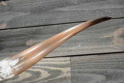 5' 1" Longhorn Wall Mount #381