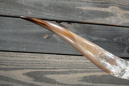 5' 1" Longhorn Wall Mount #381