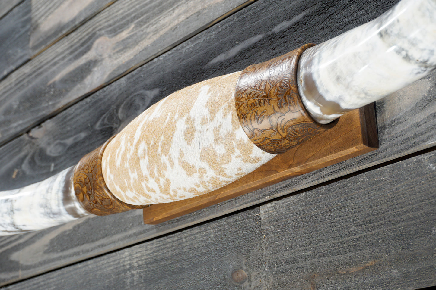 5' 1" Longhorn Wall Mount #381