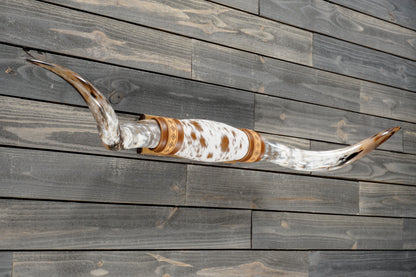5' 2" Longhorn Wall Mount #382