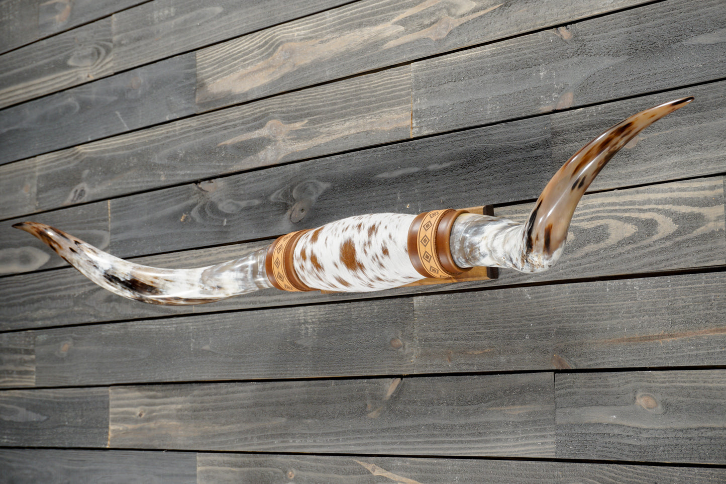 5' 2" Longhorn Wall Mount #382