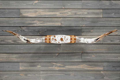 5' 2" Longhorn Wall Mount #382
