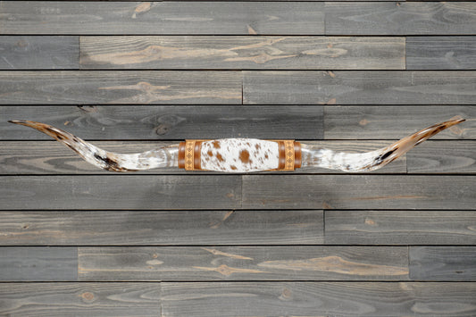 5' 2" Longhorn Wall Mount #382