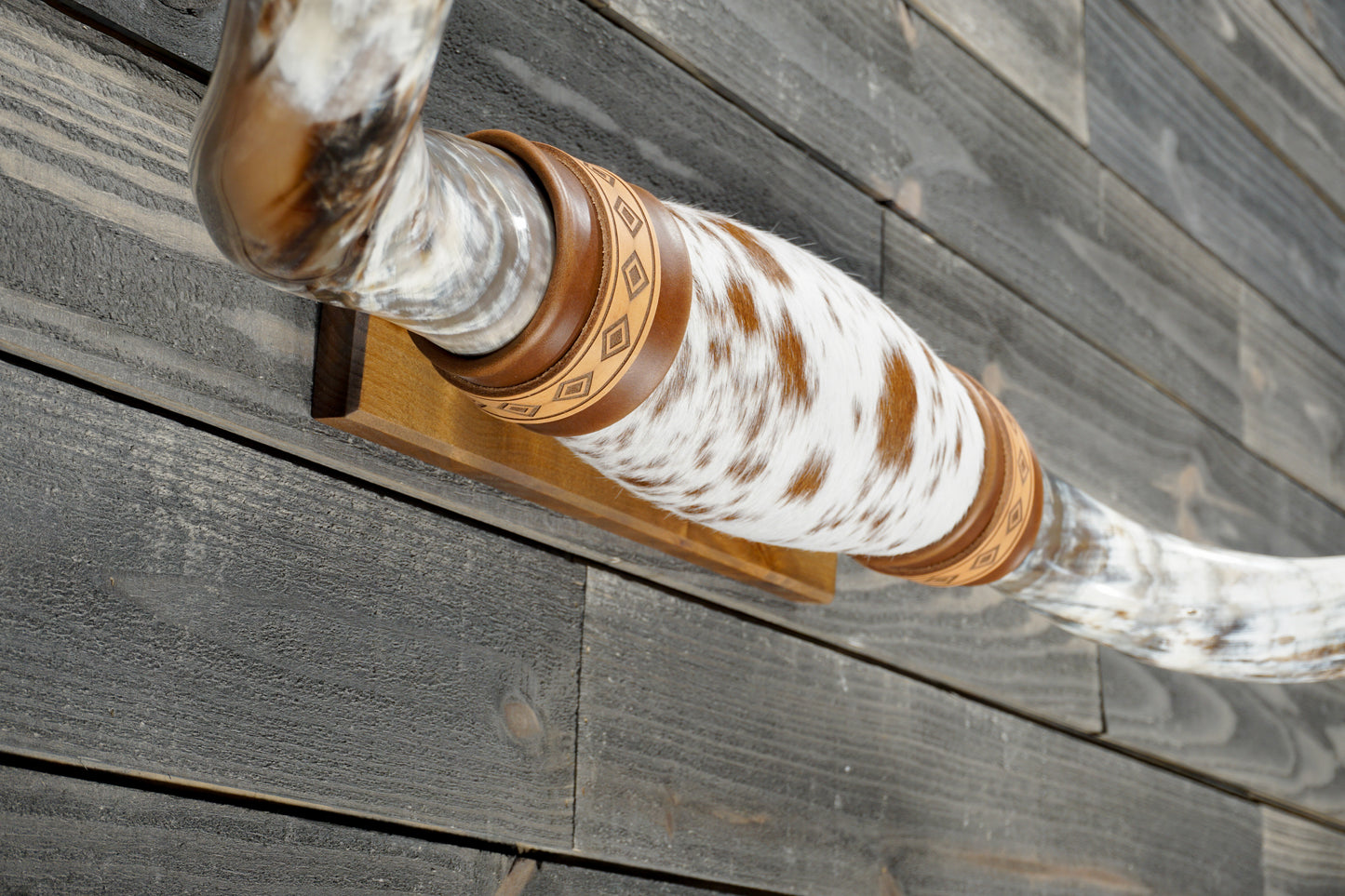 5' 2" Longhorn Wall Mount #382