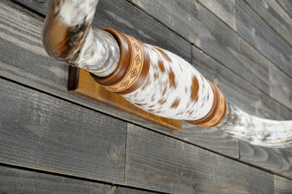 5' 2" Longhorn Wall Mount #382
