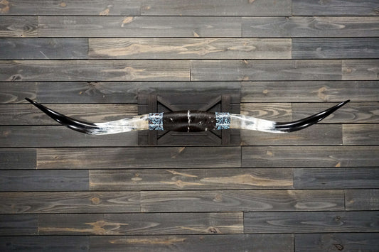 5' 8" Longhorn Wall Mount #254