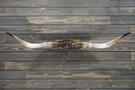 5' 5" Longhorn Wall Mount #277