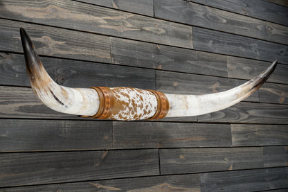 4' 11" Longhorn Wall Mount #353
