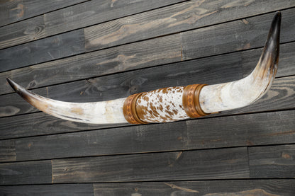 4' 11" Longhorn Wall Mount #353