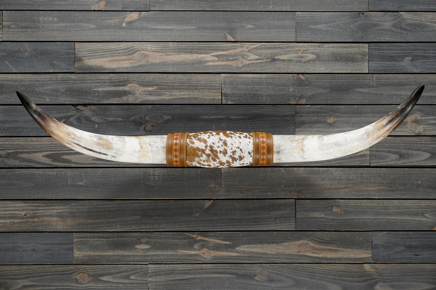 4' 11" Longhorn Wall Mount #353