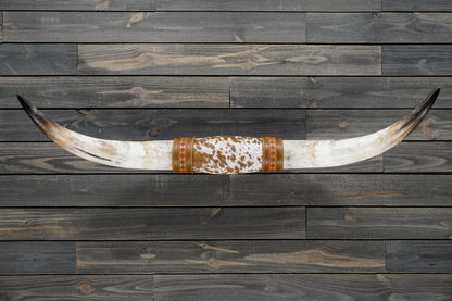 4' 11" Longhorn Wall Mount #353