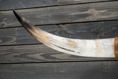 4' 11" Longhorn Wall Mount #353